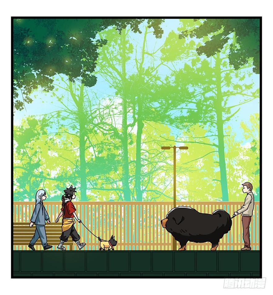 百层塔四十，遛狗闯关（中）