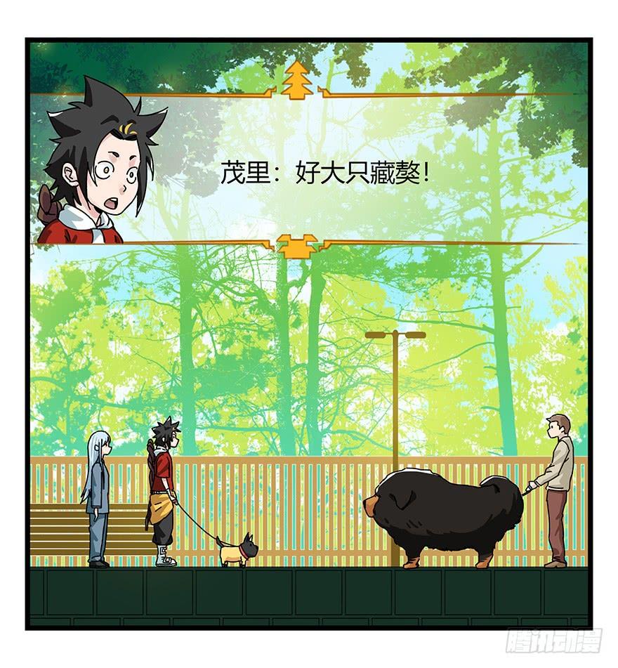 百层塔四十，遛狗闯关（中）