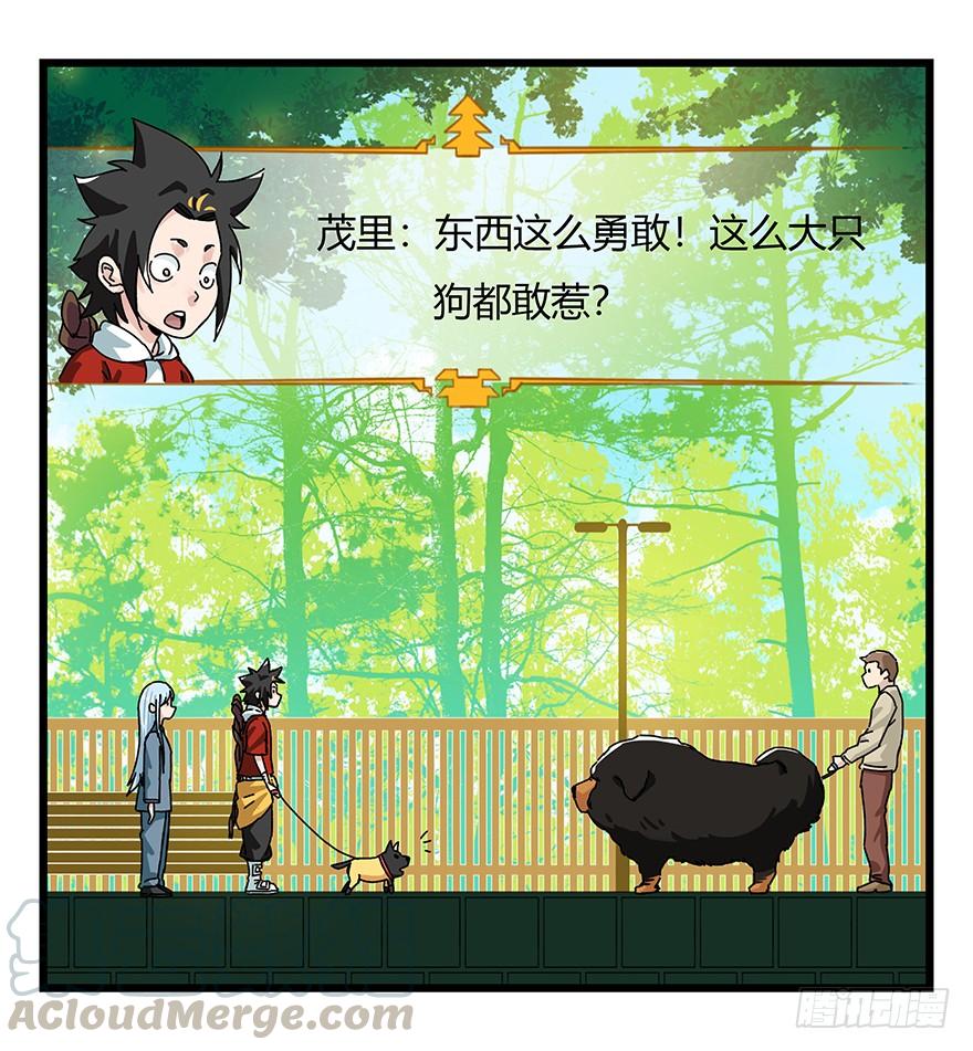 百层塔四十，遛狗闯关（中）