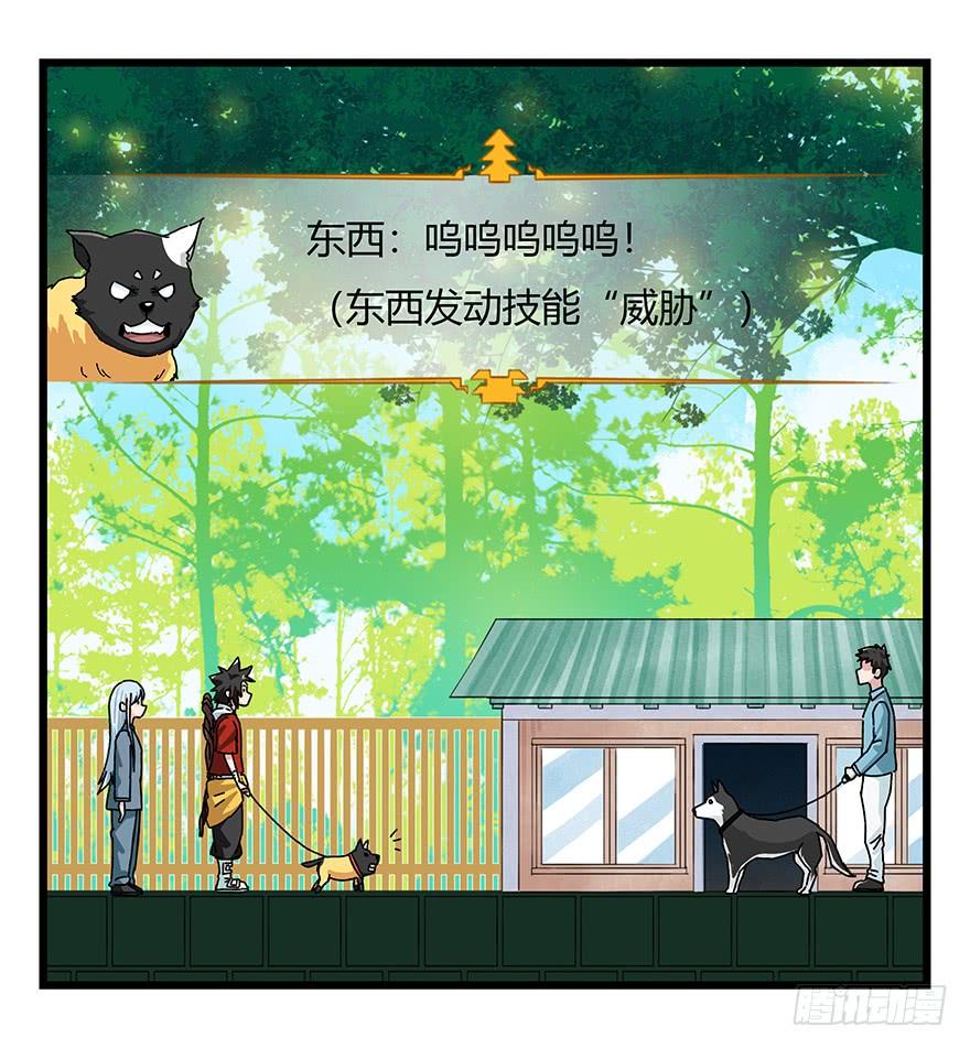 百层塔四十，遛狗闯关（中）