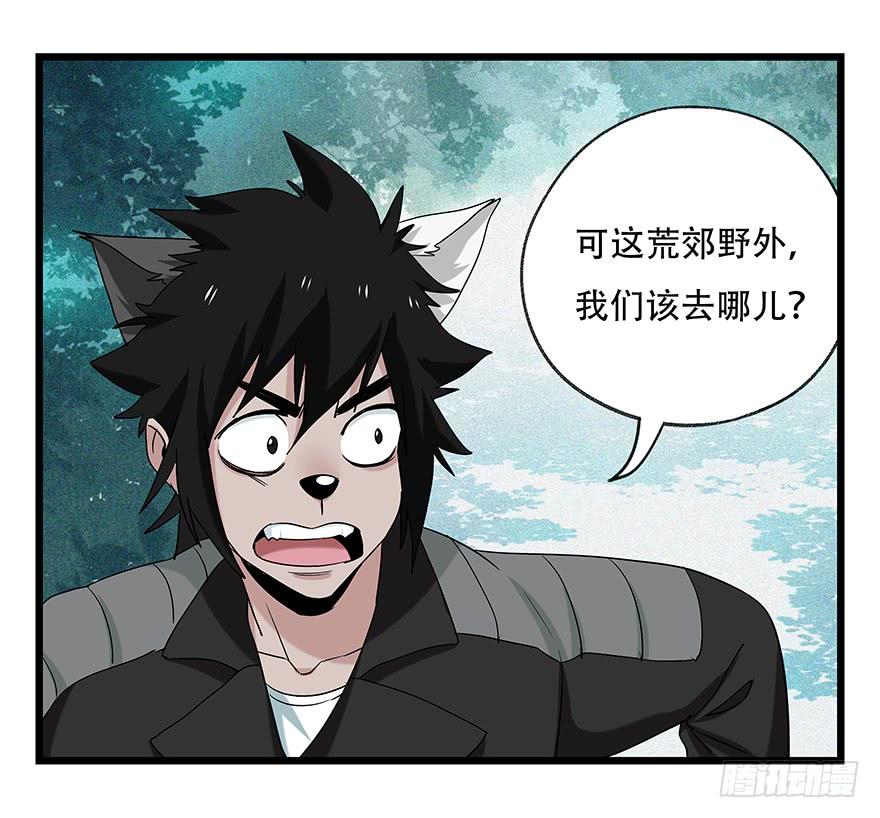 百层塔五十，龙（五）