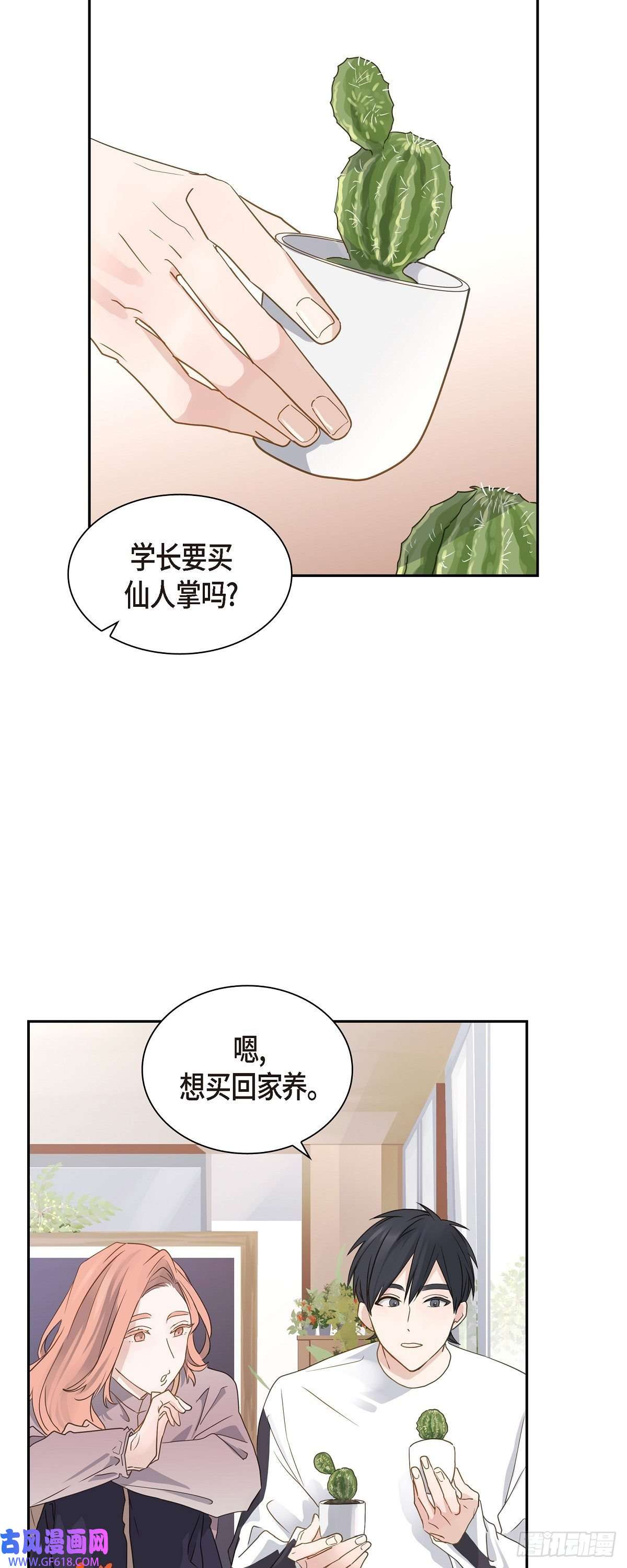 沙城07.买花