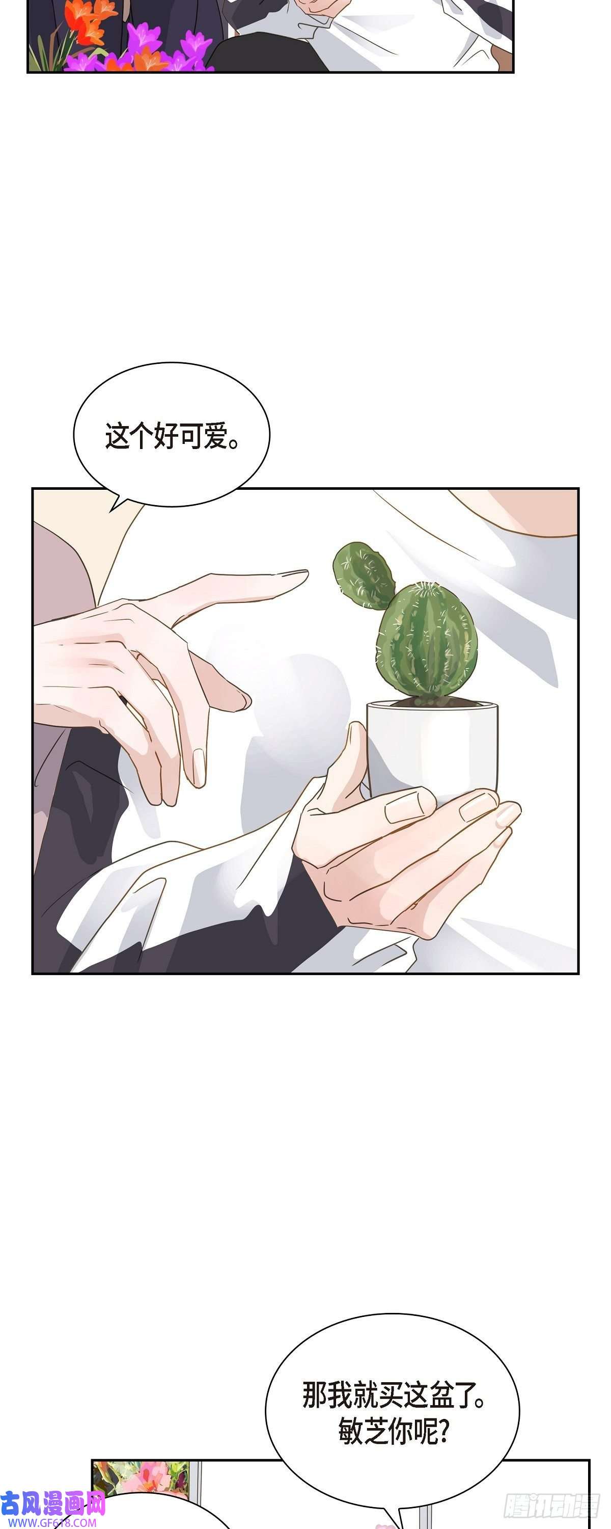 沙城07.买花