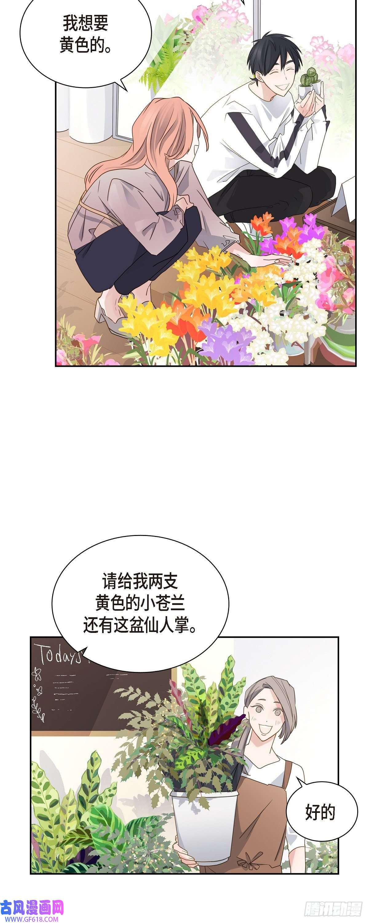 沙城07.买花