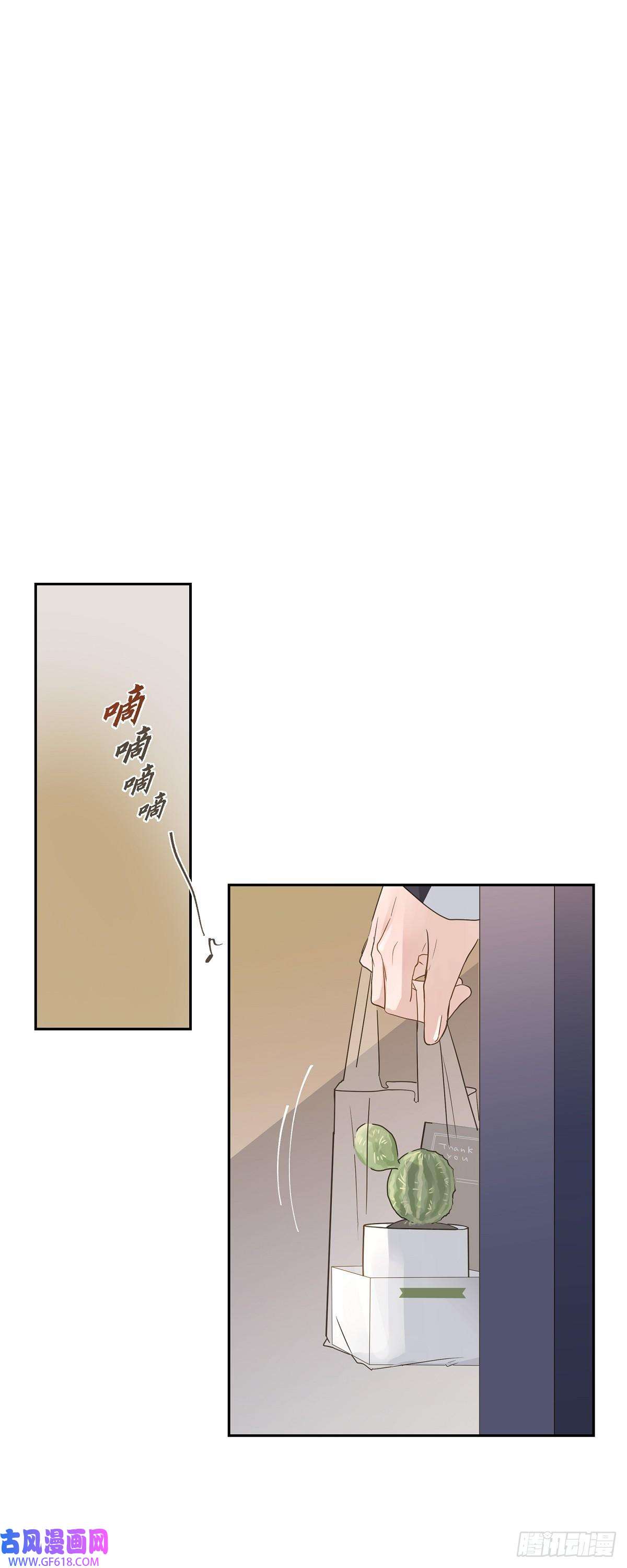 沙城07.买花