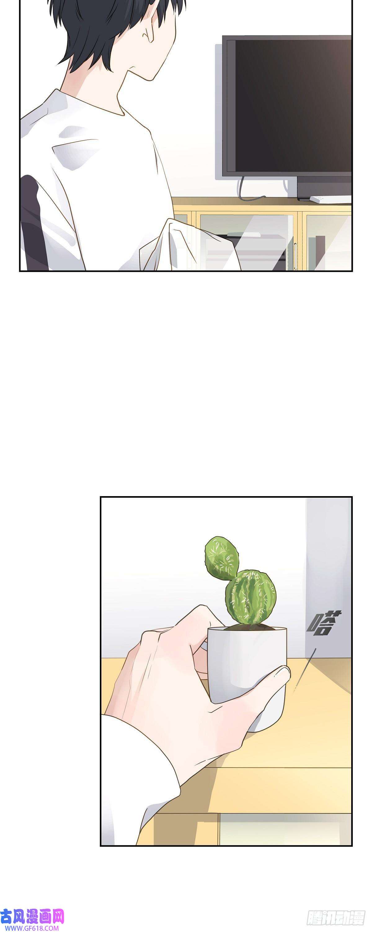 沙城07.买花