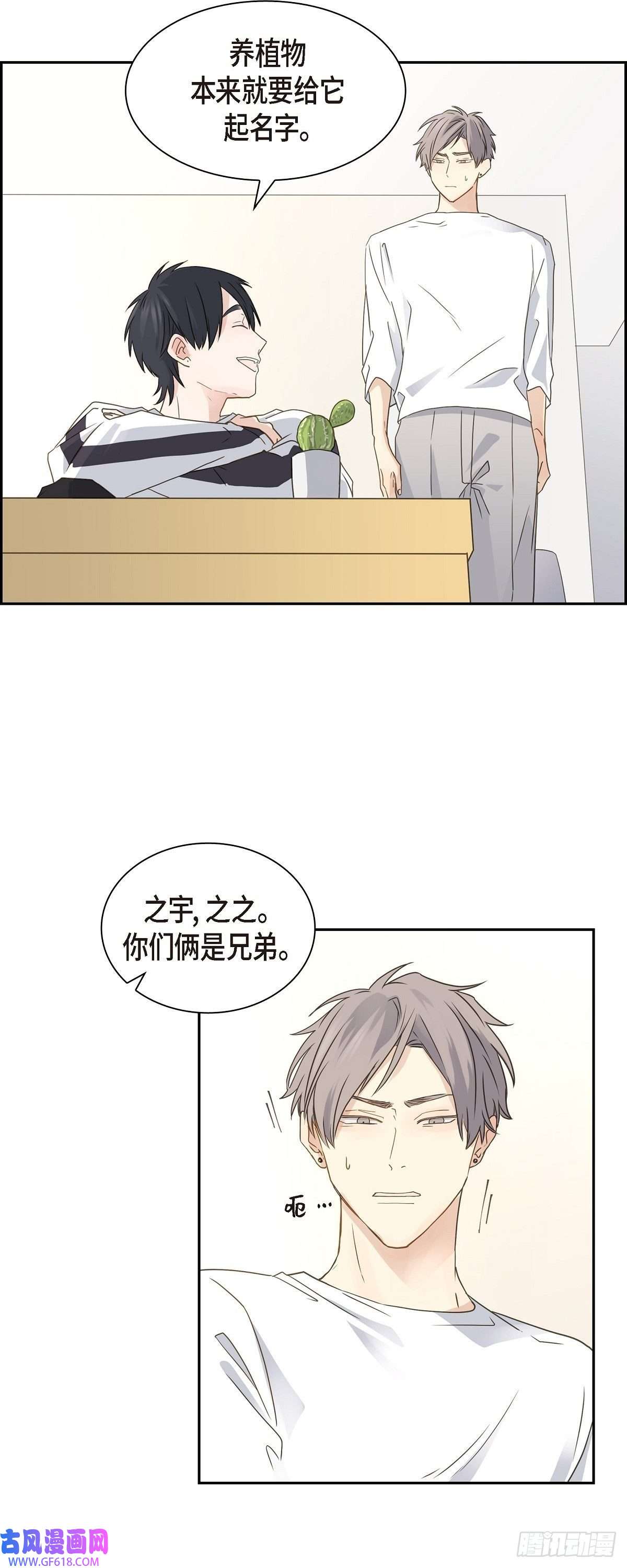 沙城07.买花