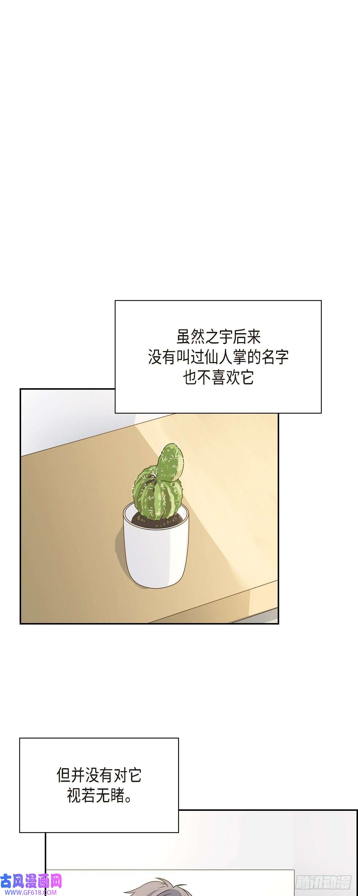 沙城07.买花