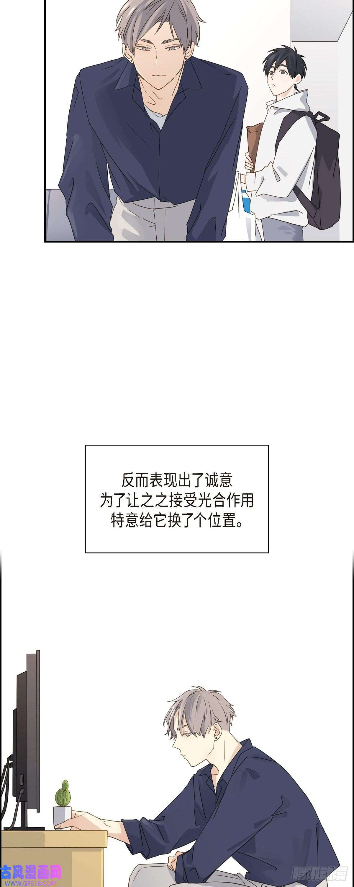 沙城07.买花