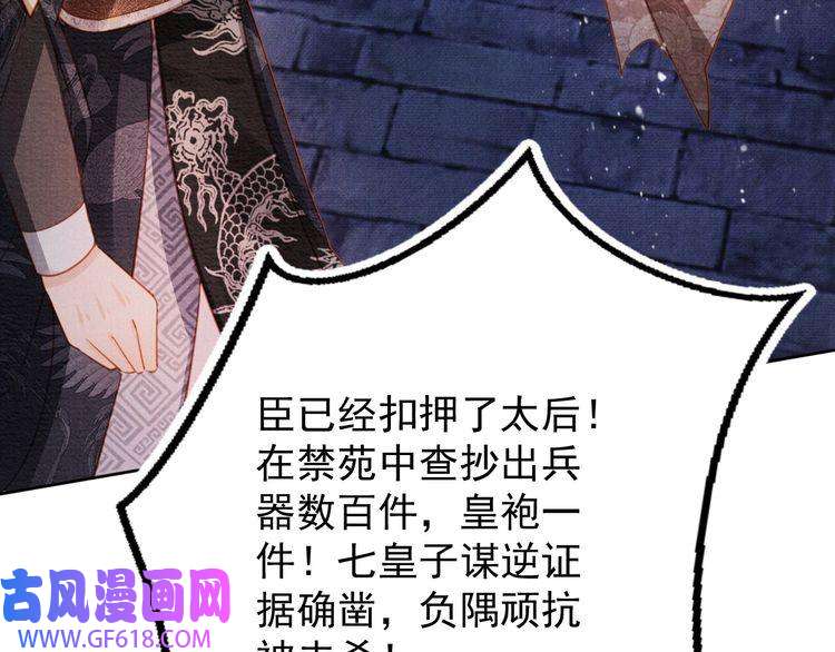 君宠难为第68话 内乱平定