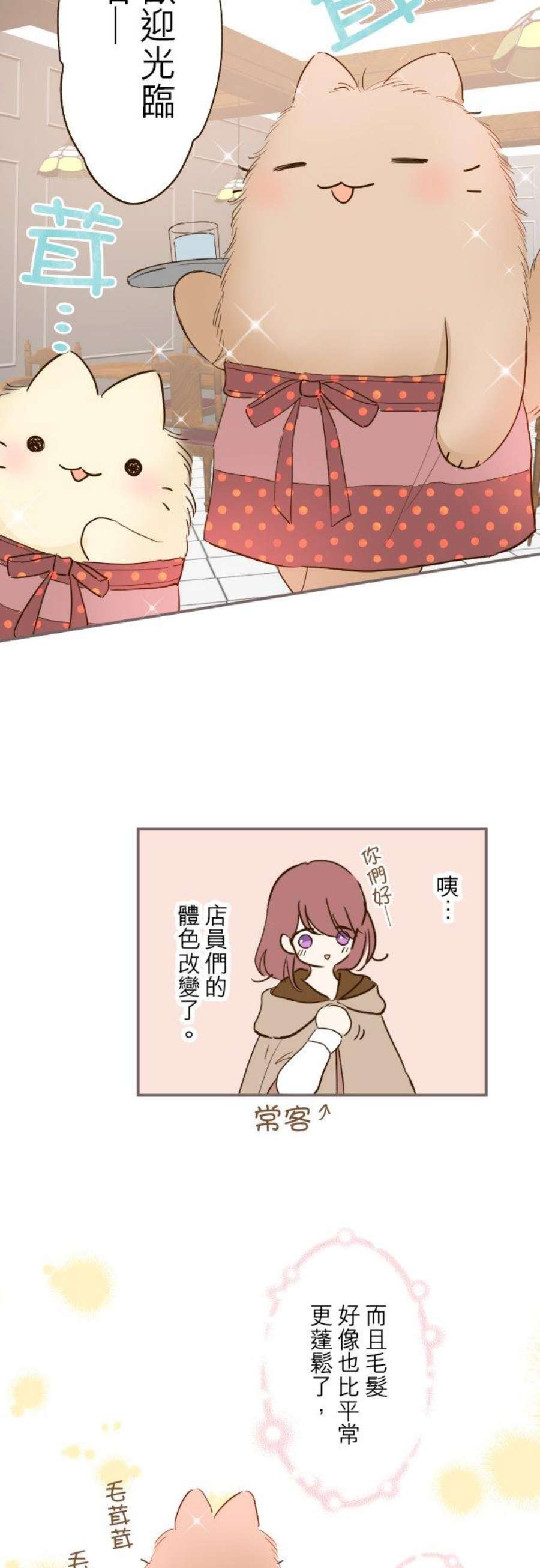 龙骑士与转生圣女17话 毛茸茸的喵！