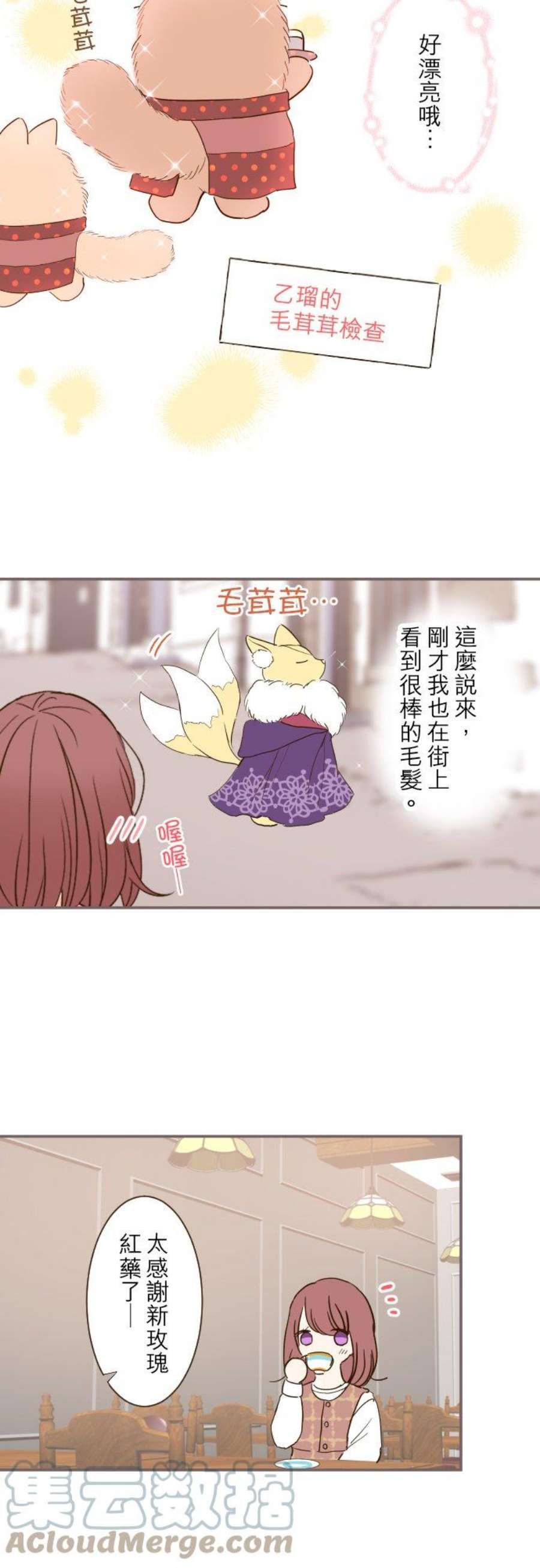 龙骑士与转生圣女17话 毛茸茸的喵！