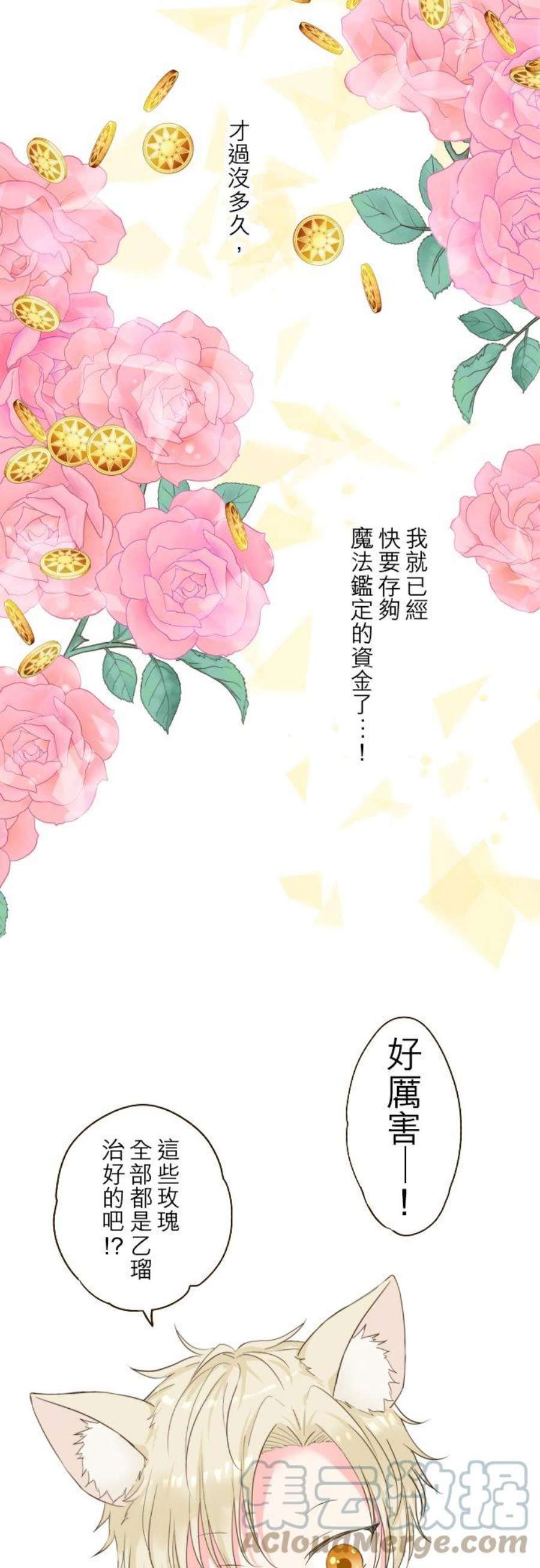 龙骑士与转生圣女17话 毛茸茸的喵！