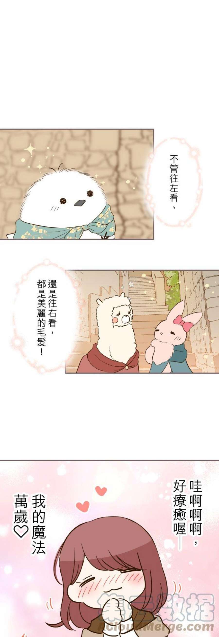 龙骑士与转生圣女17话 毛茸茸的喵！