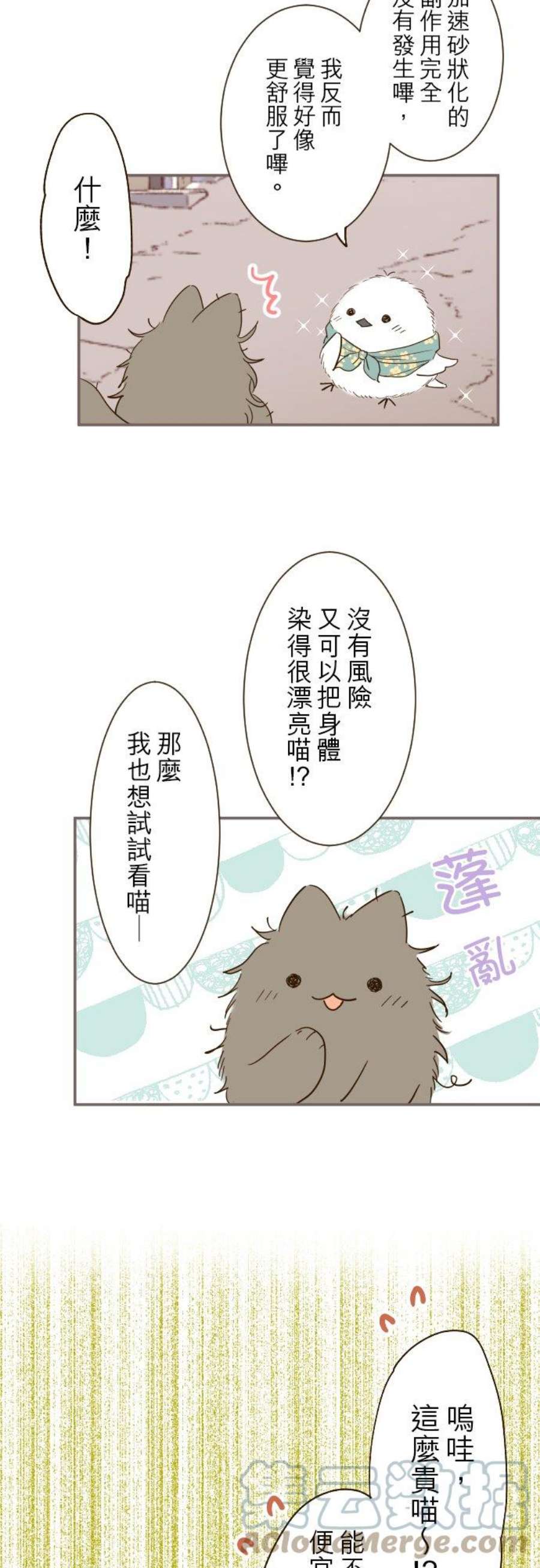 龙骑士与转生圣女17话 毛茸茸的喵！