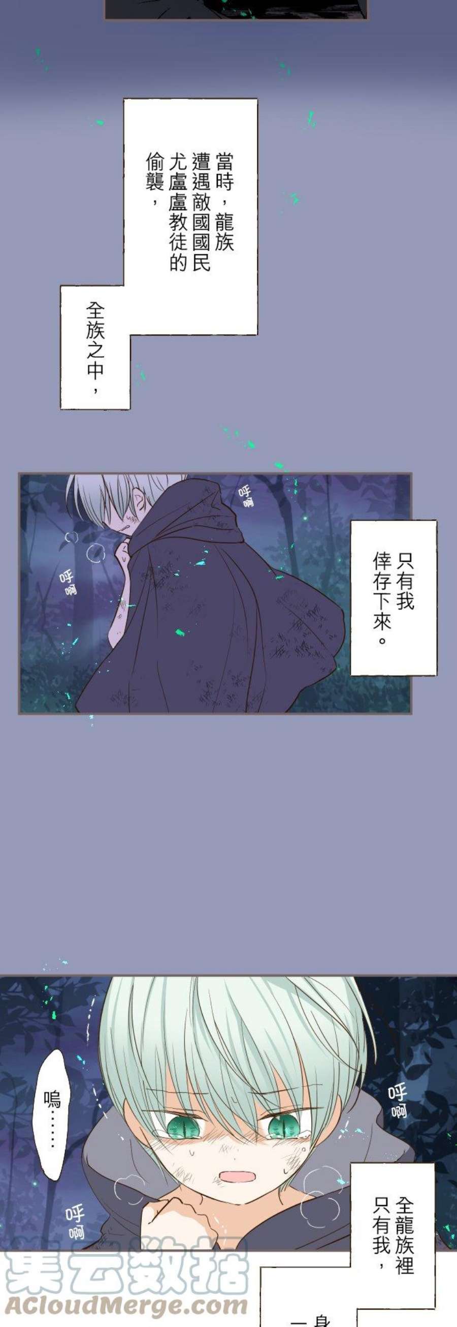 龙骑士与转生圣女28话 少年翡翠