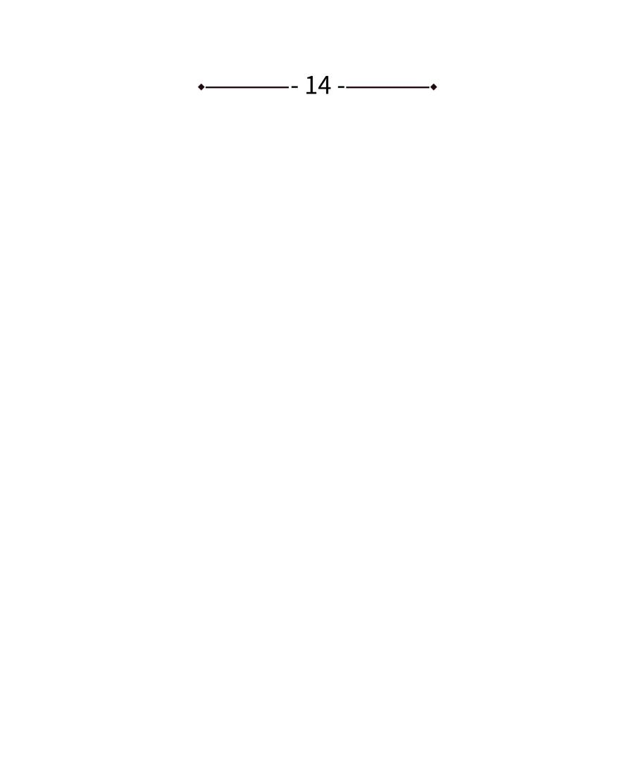 全职猎魔团14 入侵