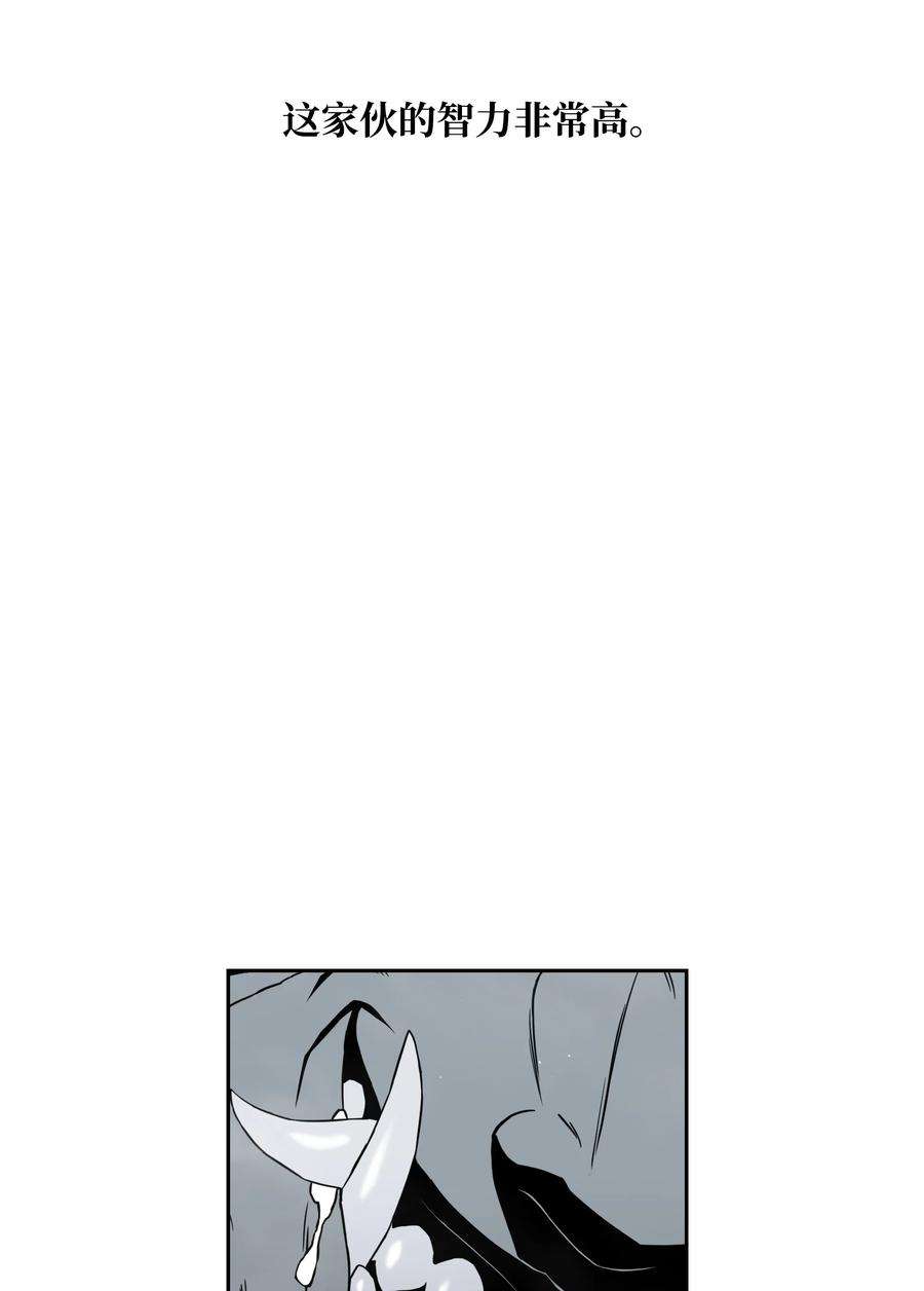 全职猎魔团49 薇恩的故事