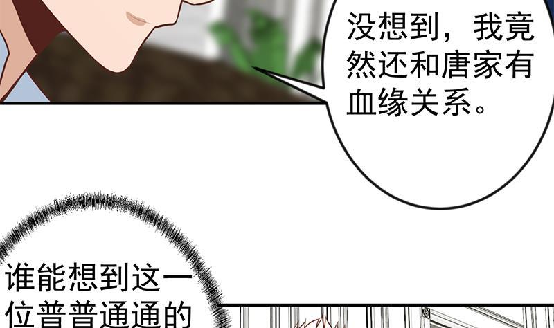 修仙归来在校园75话 查不到的身世