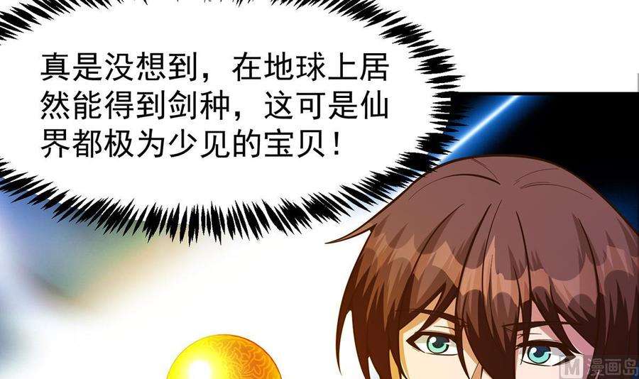 修仙归来在校园333话 剑种成功入手！