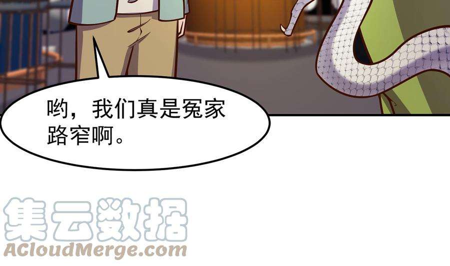 修仙归来在校园345话 一个玩蛇的