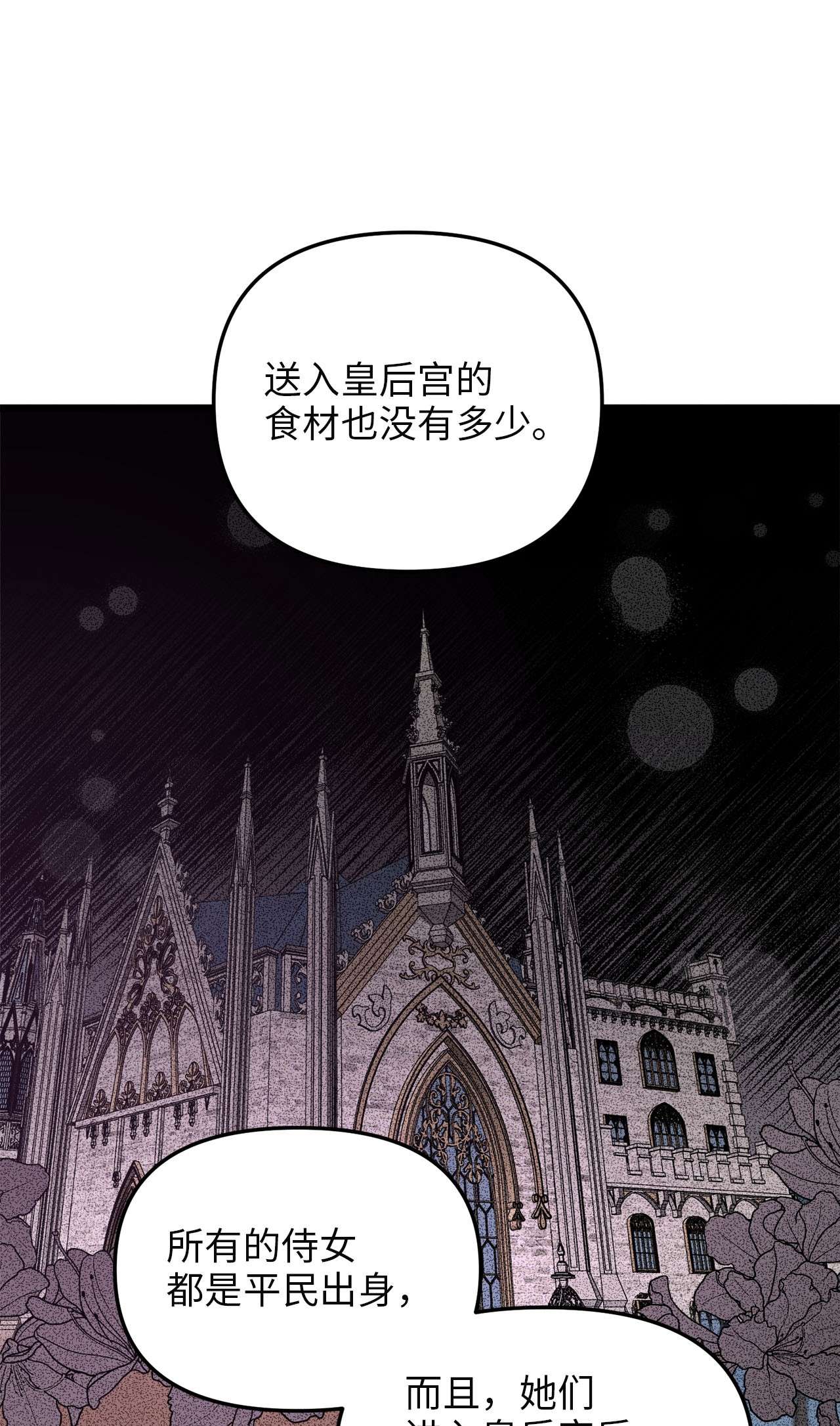 我的皇后性别不明56 决心