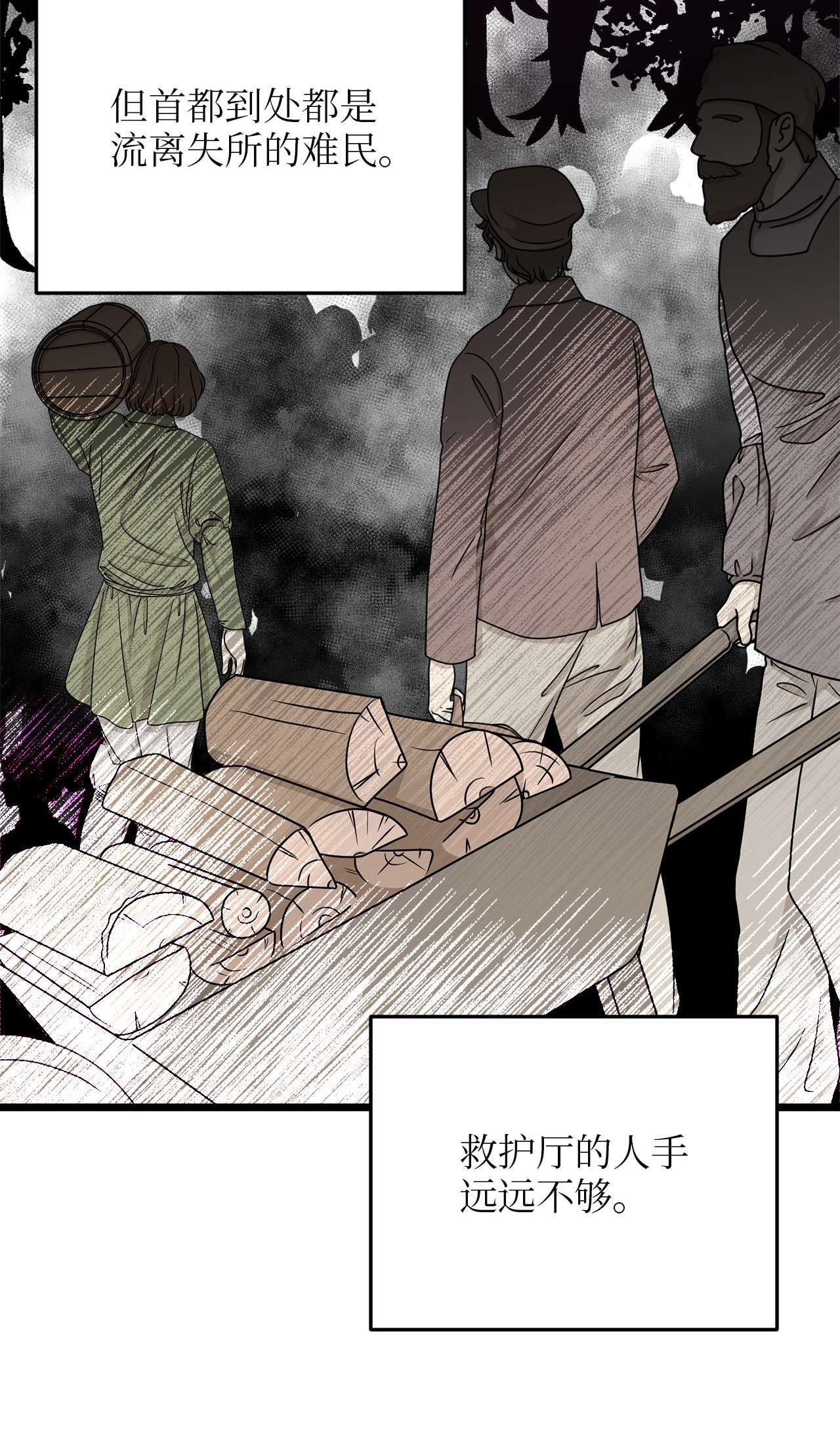 我的皇后性别不明56 决心