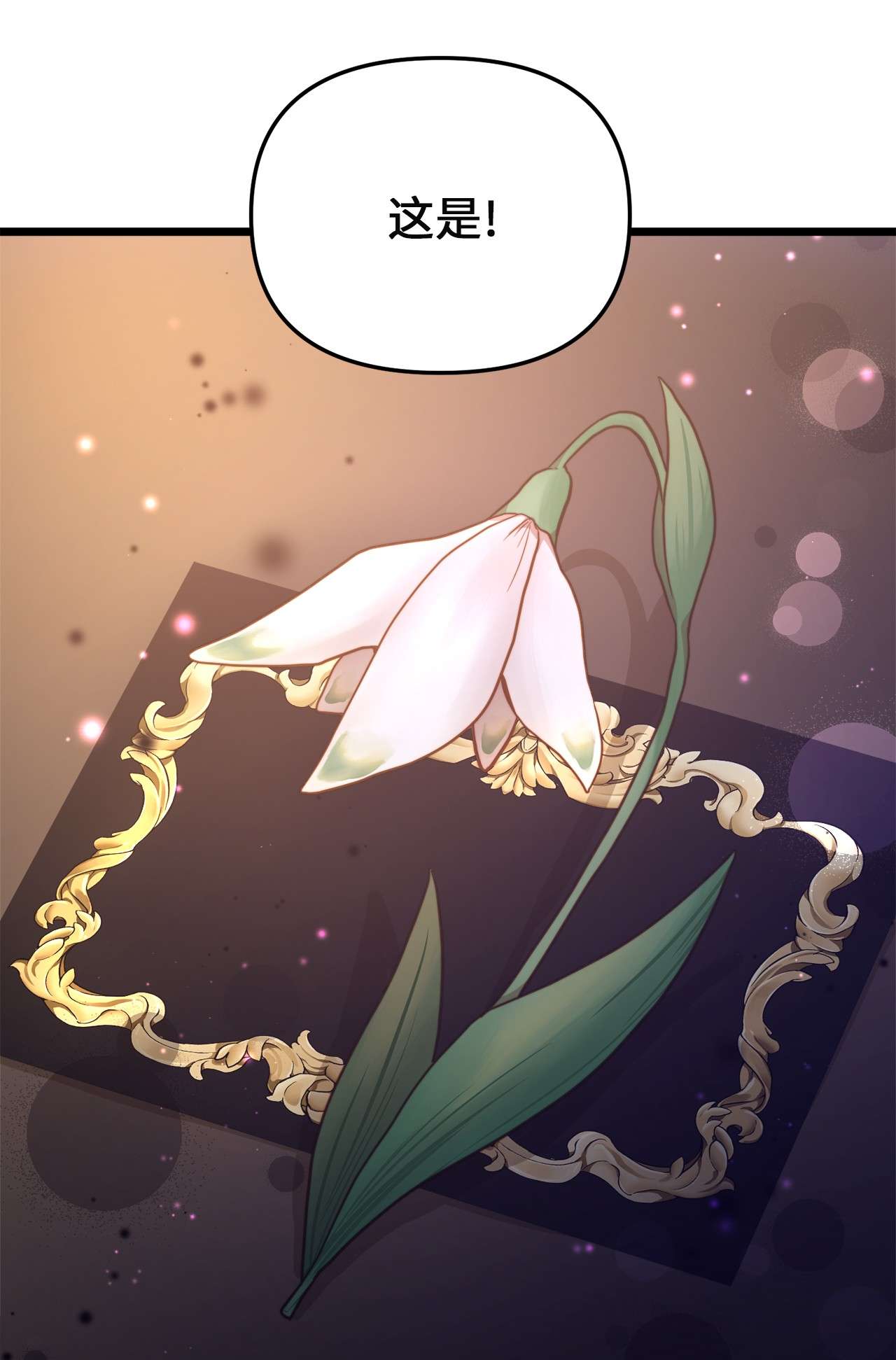 我的皇后性别不明65 魔女之邀