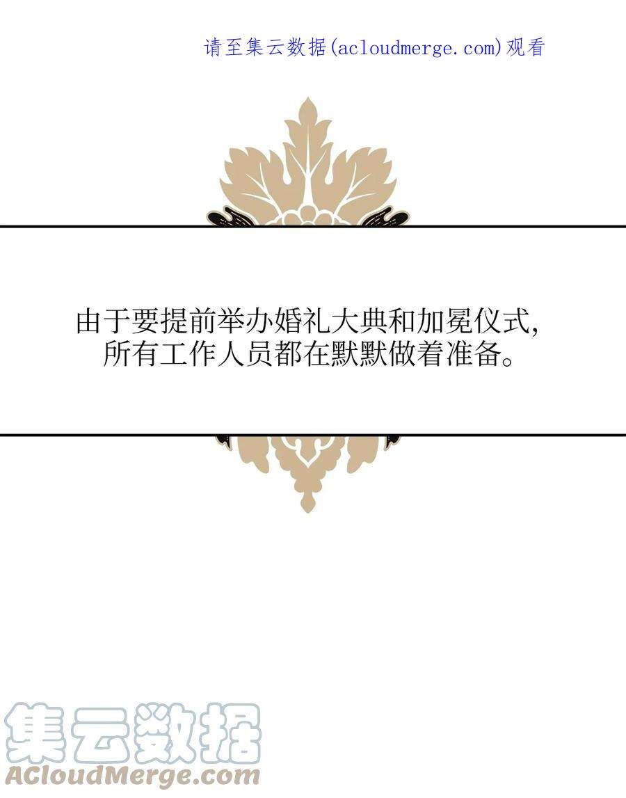 我的皇后性别不明71 凉爽的夜晚