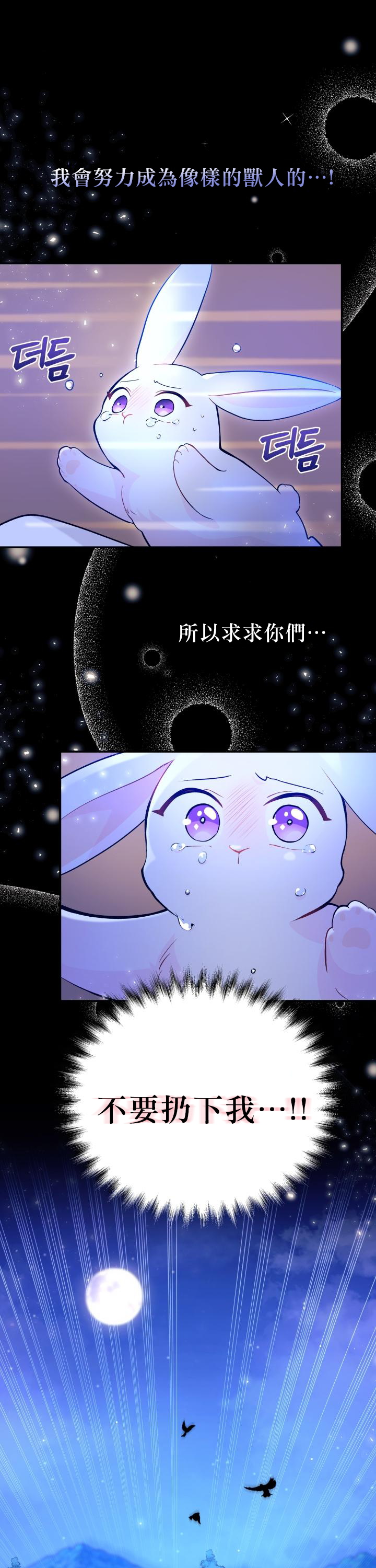 兔子与黑豹的共生关系第01话