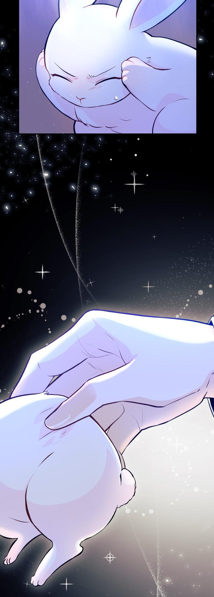 兔子与黑豹的共生关系第01话