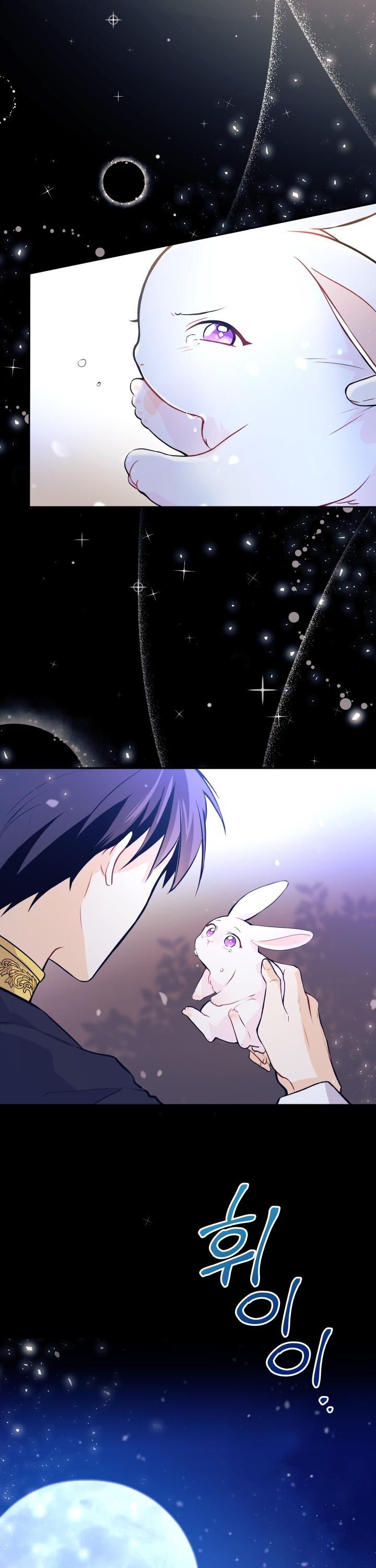 兔子与黑豹的共生关系第01话