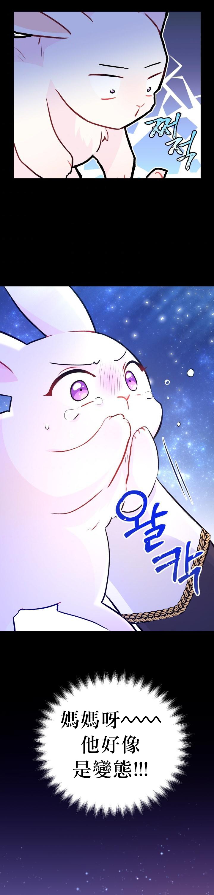 兔子与黑豹的共生关系第01话