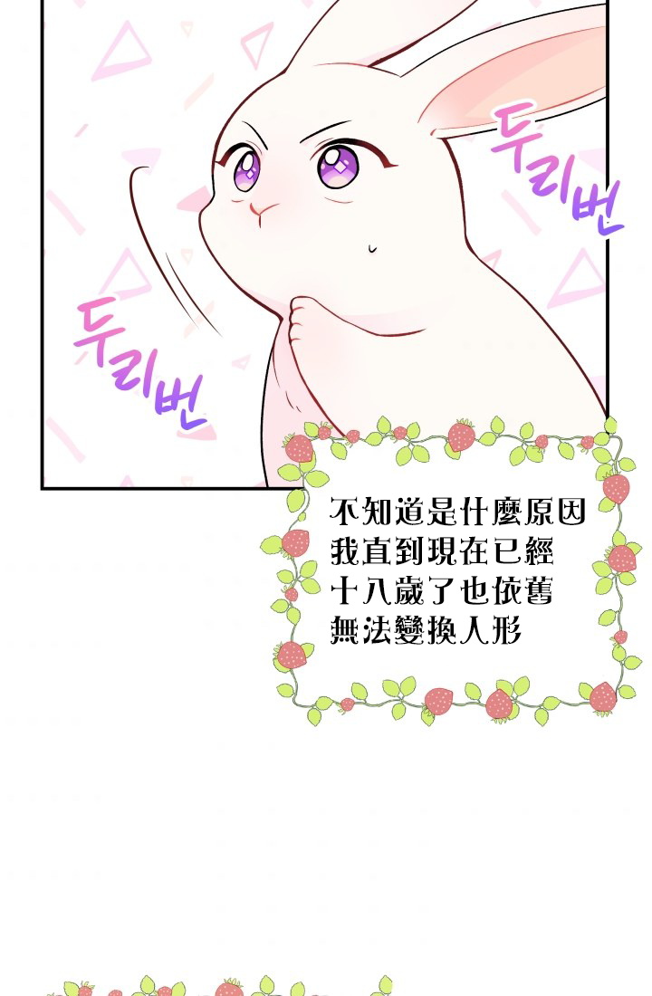 兔子与黑豹的共生关系第02话