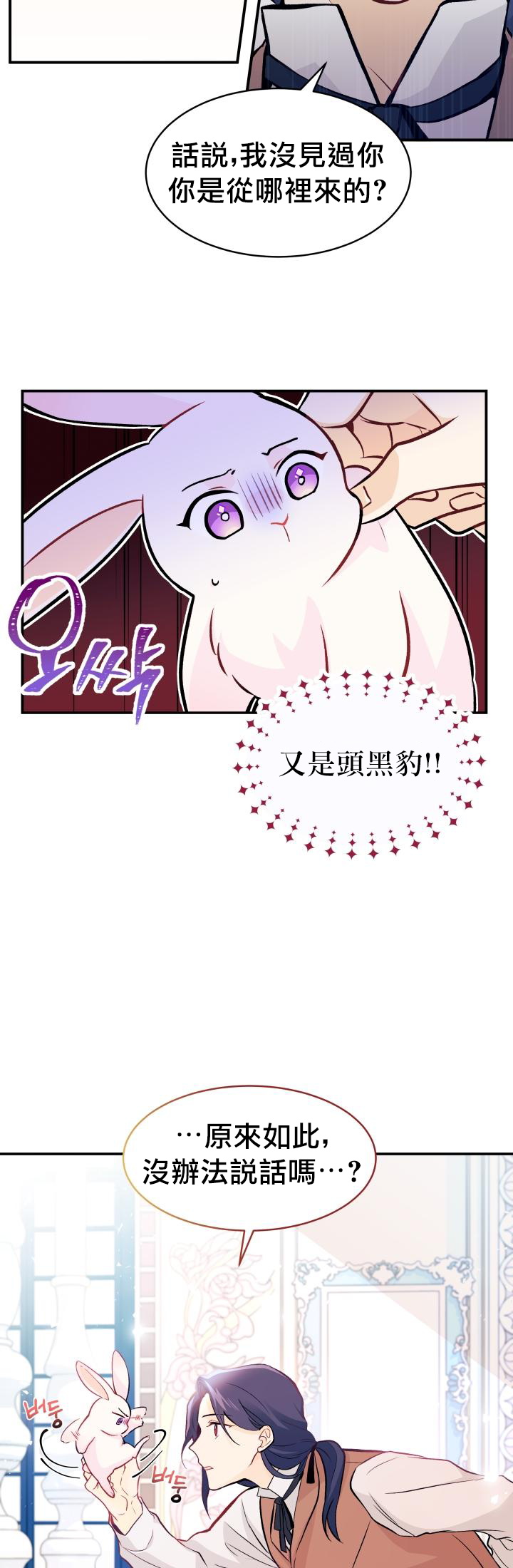 兔子与黑豹的共生关系第02话