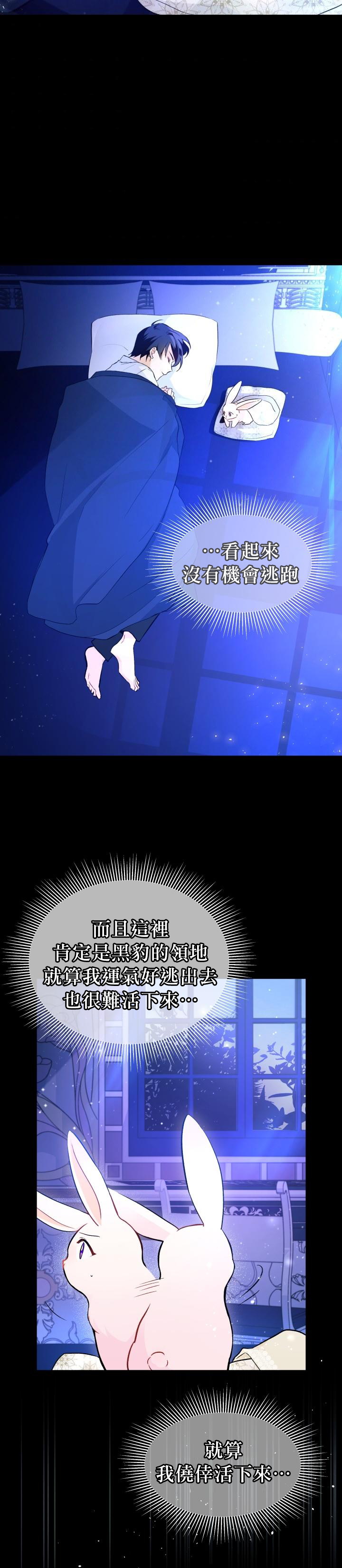 兔子与黑豹的共生关系第02话