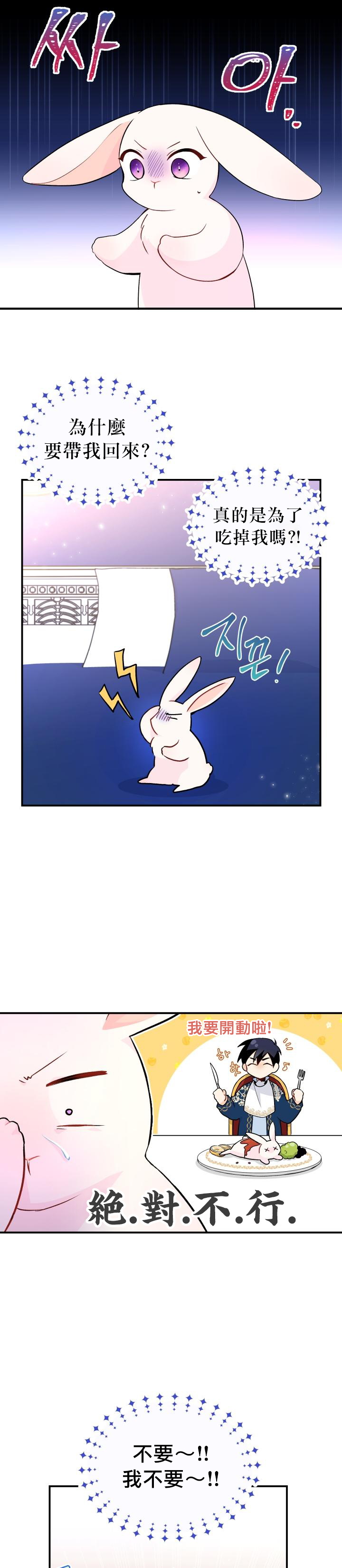 兔子与黑豹的共生关系第02话