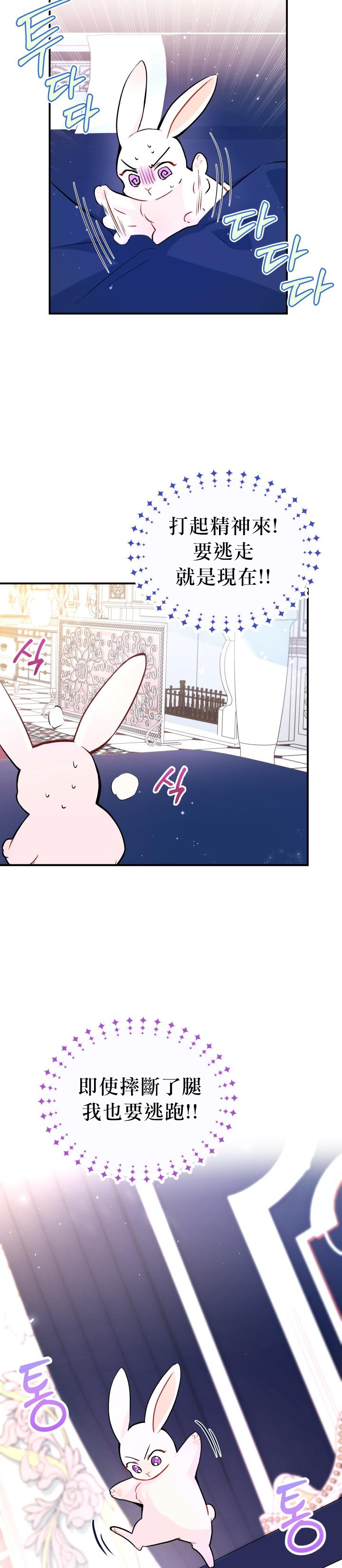 兔子与黑豹的共生关系第02话