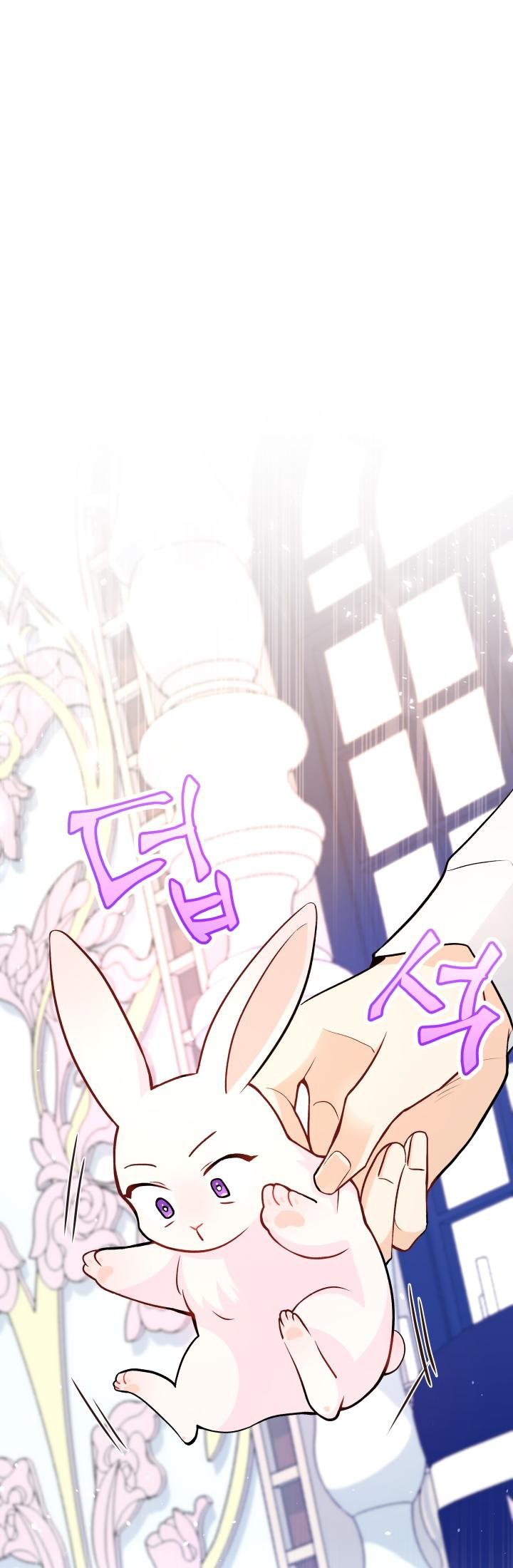 兔子与黑豹的共生关系第02话