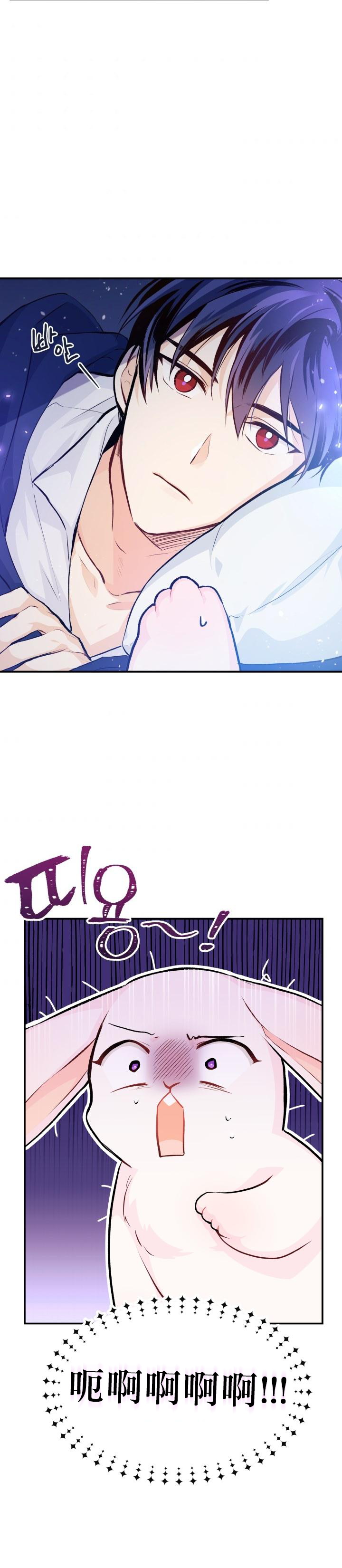 兔子与黑豹的共生关系第03话