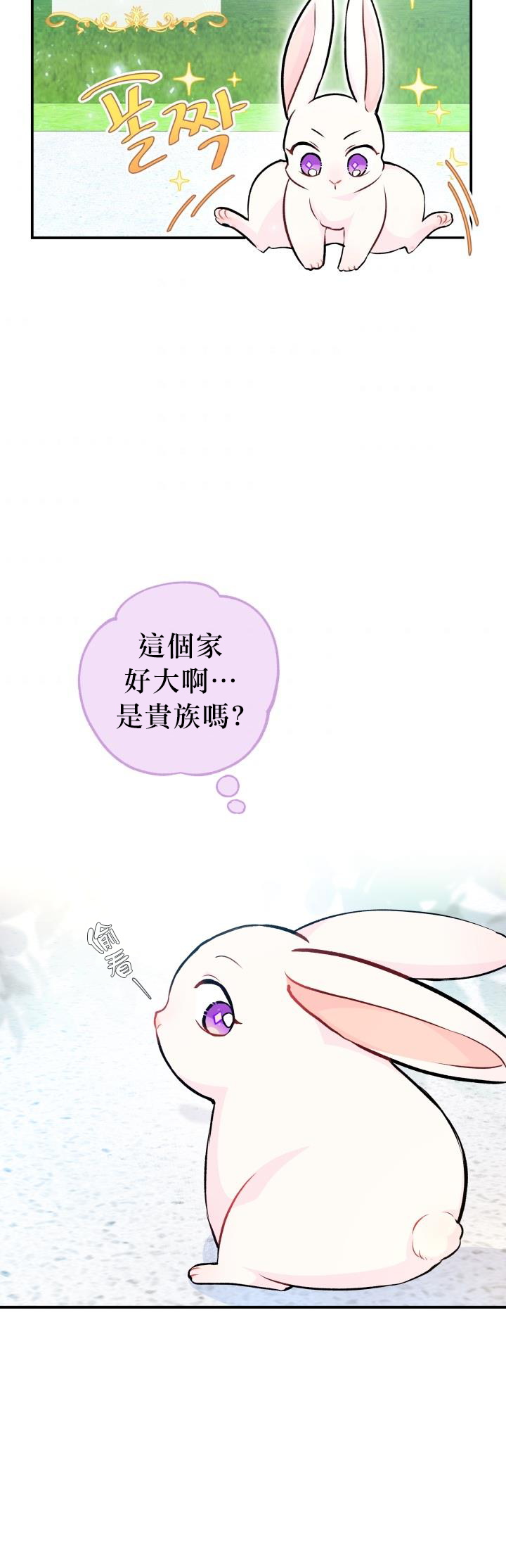 兔子与黑豹的共生关系第03话