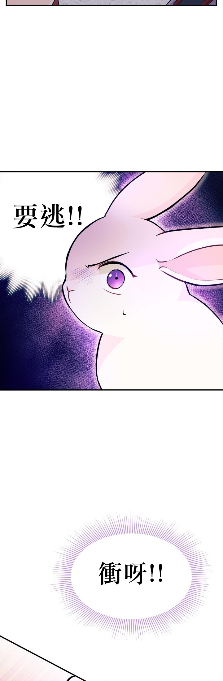 兔子与黑豹的共生关系第03话