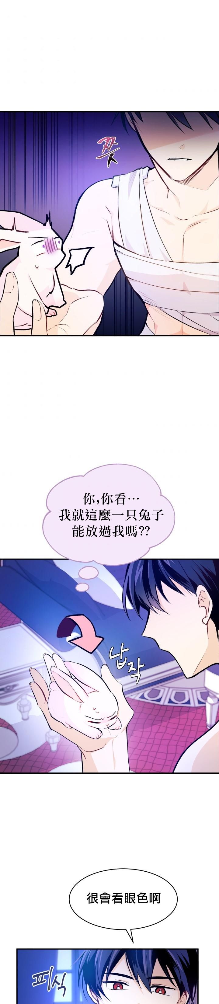 兔子与黑豹的共生关系第04话