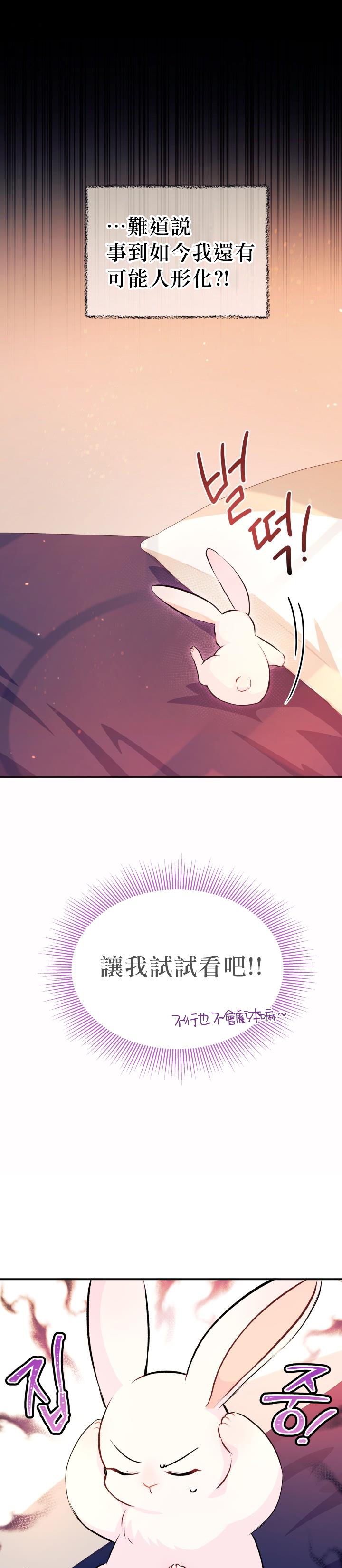 兔子与黑豹的共生关系第05话