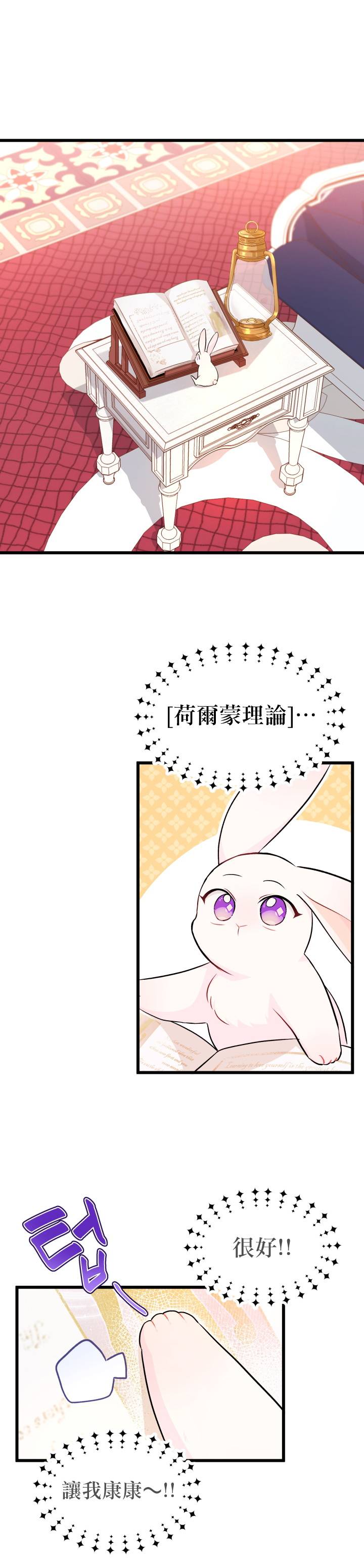 兔子与黑豹的共生关系第08话