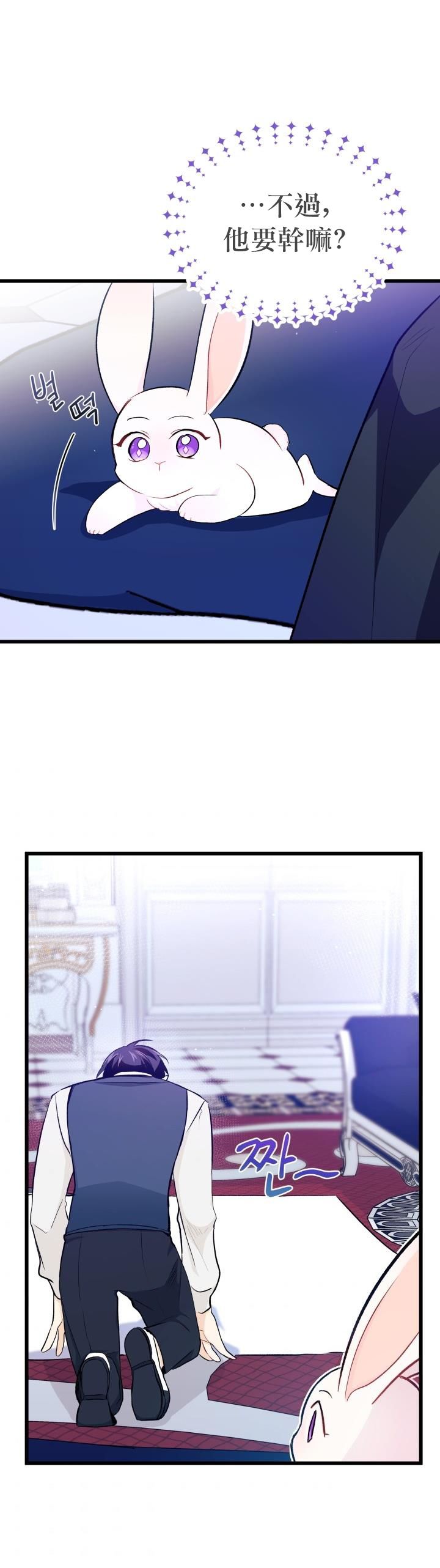 兔子与黑豹的共生关系第10话