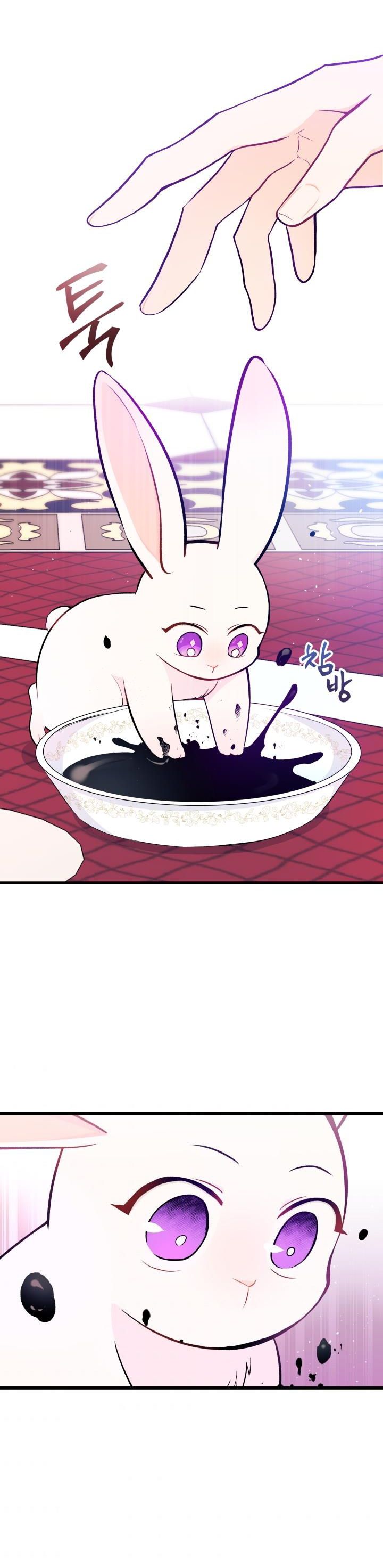 兔子与黑豹的共生关系第10话