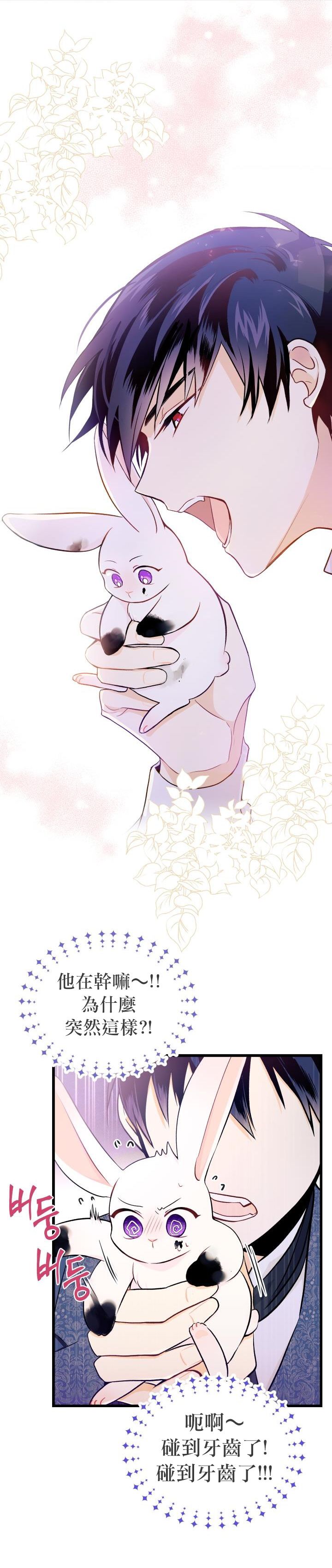 兔子与黑豹的共生关系第10话