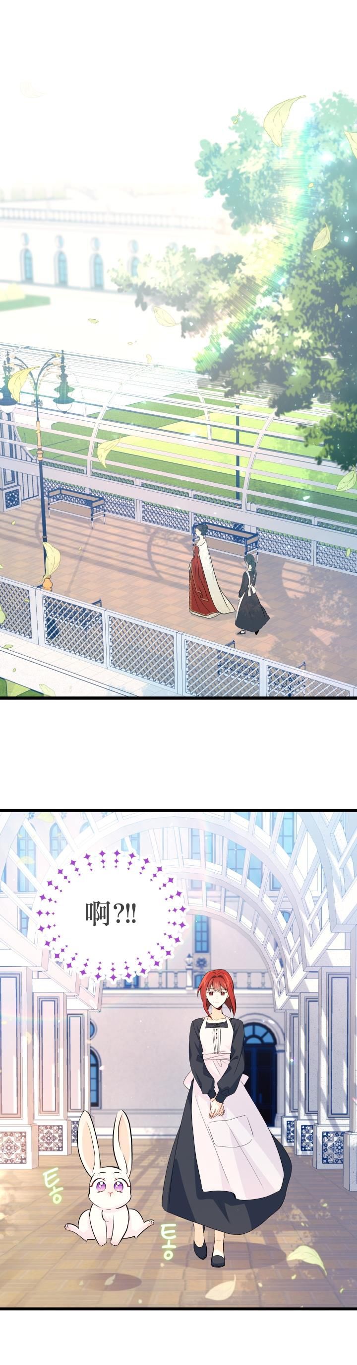 兔子与黑豹的共生关系第11话