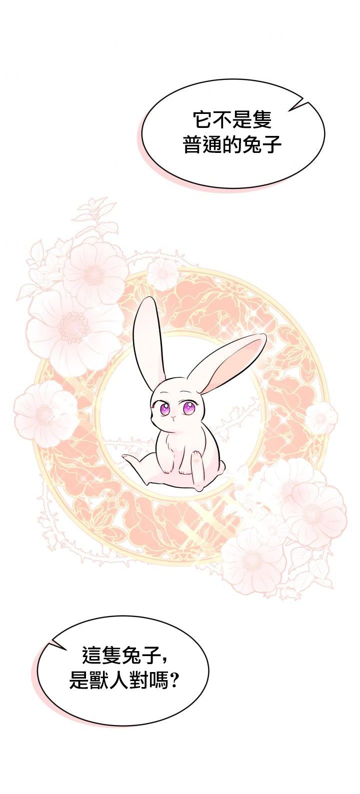 兔子与黑豹的共生关系第12话